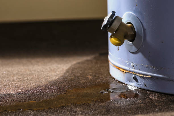 Carpet water damage restoration in MN