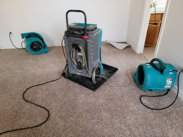 Best 24/7 water damage repair  in Preston, MN