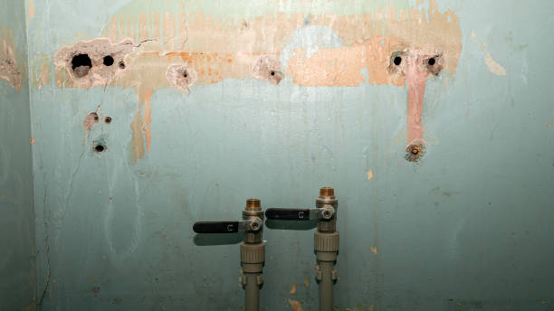 Local water damage restoration in MN