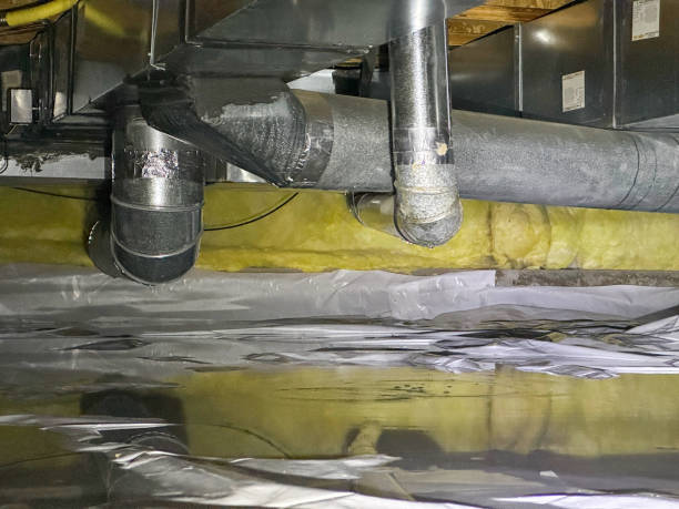 Best Flooded house restoration  in Preston, MN